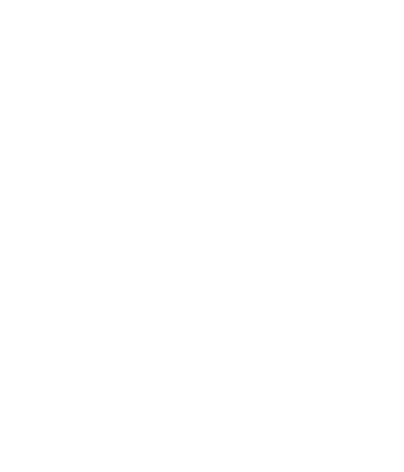 VylosAura